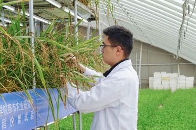 國際首次試驗成功，核心技術(shù)源自天府新區(qū)科技推廣與應(yīng)用服務(wù)